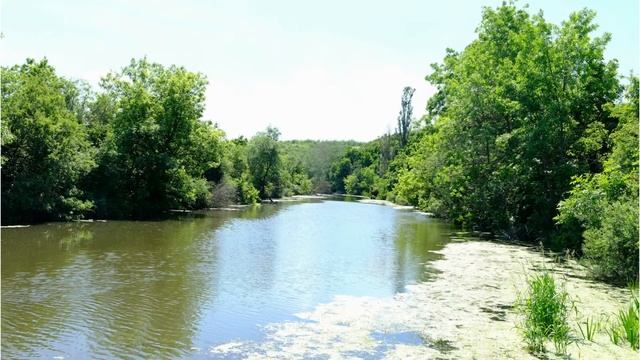 Защита экологического проекта "Наш дом - Тихий Дон" и комикса "Лукоморики" (С заботой о природе) смотреть онлайн