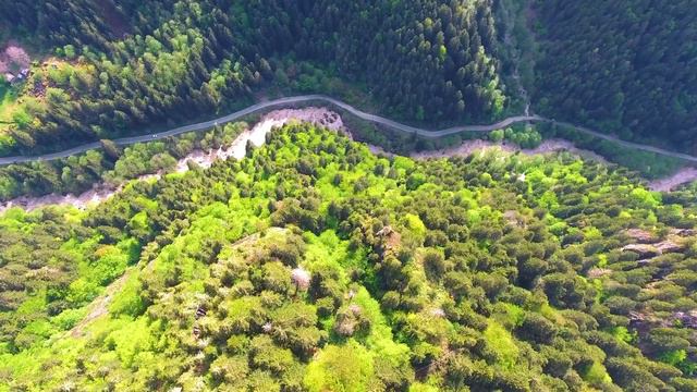 Если вы чувствуете усталость и тревогу, эта музыка для вас - музыка рассеивает все заботы 🍀 смотреть онлайн