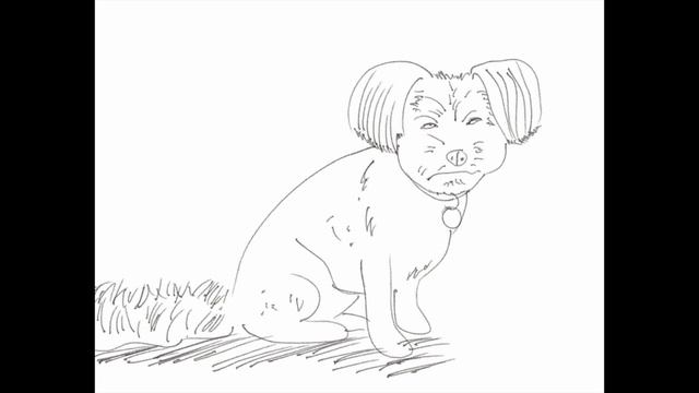Molly Paws Photo Trace Sketch смотреть онлайн