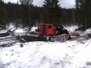 Работа в лесу