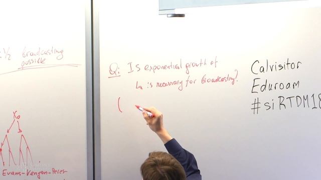 Broadcasting on Directed Acyclic Graphs смотреть онлайн