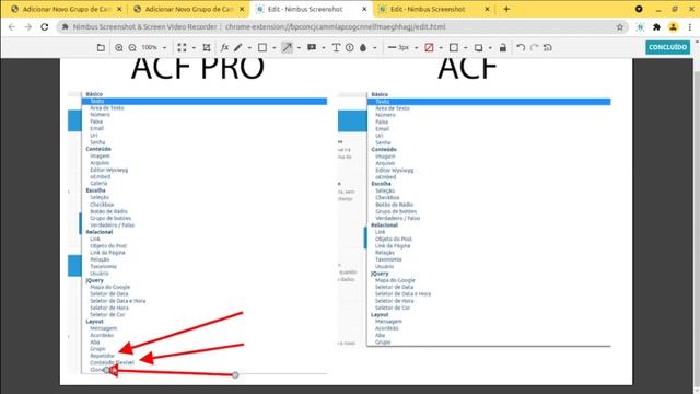 Curso ACF Pro - Diferença da versão gratuita e da versão pro смотреть онлайн