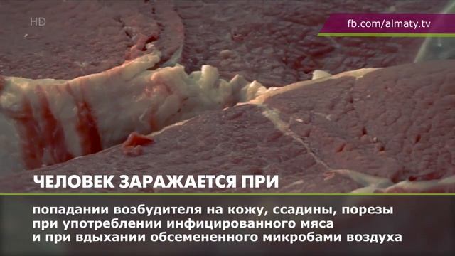 Что нужно знать об инфекции сибирской язвы? (10.11.16) смотреть онлайн