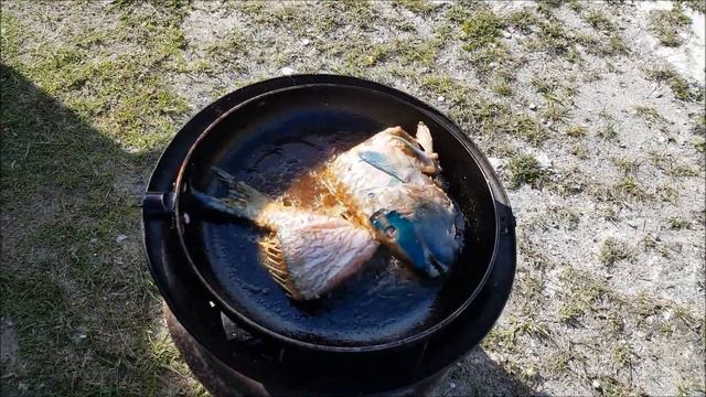VIDEO - Traditional Jamaican Fried Escoveitched Fish - Backyard Style! смотреть онлайн
