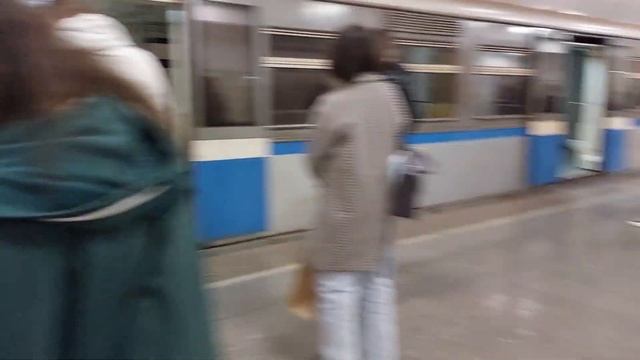Станция "Партизанская": поезд "Синергия" и отправление "Русича" в депо смотреть онлайн