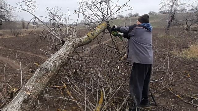 Єлектропила в роботе без доступу к єлектромережі. Генератор от вом с 7 кВт электродвигуна . смотреть онлайн