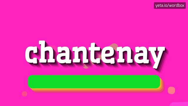 HOW TO SAY CHANTENAY? #chantenay смотреть онлайн
