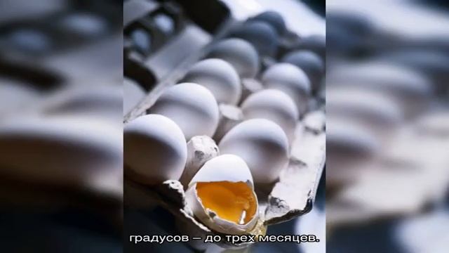 Сколько хранятся куриные яйца в холодильнике смотреть онлайн