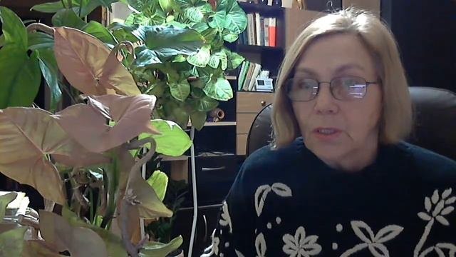 Поговорим о цветах! смотреть онлайн