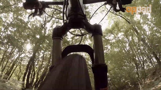 Test Focus Super Bud 29r 3.0 Mountainbike, 2014