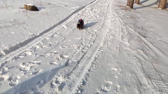 первый мороз смотреть онлайн