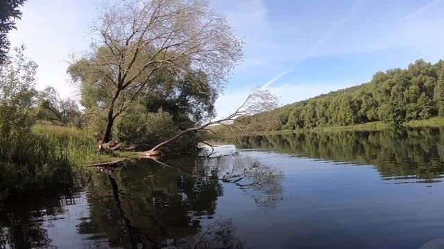 ПУТЕШЕСТВИЕ НА ДОН, РЫБАЛКА НА ЩУКУ, КРУПНЫЙ ОКУНЬ И ПЛОТВА!!! смотреть онлайн