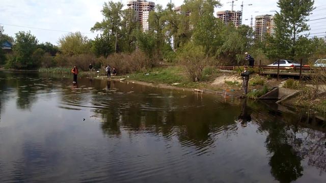 Щука 3,4 кг на живца прямо в Киеве на Осокорках. 10.05.2015. смотреть онлайн
