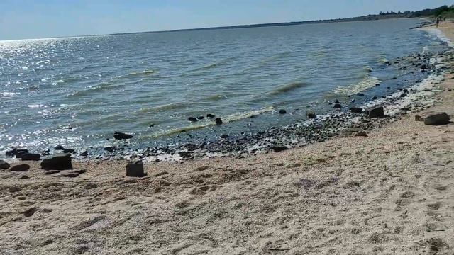 Стоит ли ехать на отдых в Ейск? Грязное Азовское море. Отдых на юге России 2022/ Life in Russia смотреть онлайн