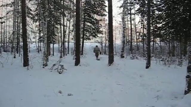 йамаха на заготовке грибов смотреть онлайн