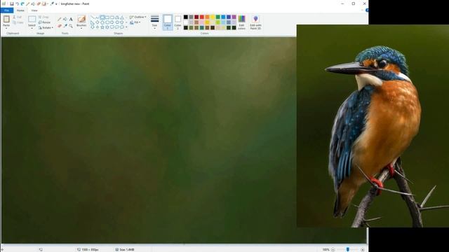 How To Paint Photorealism On MS Paint