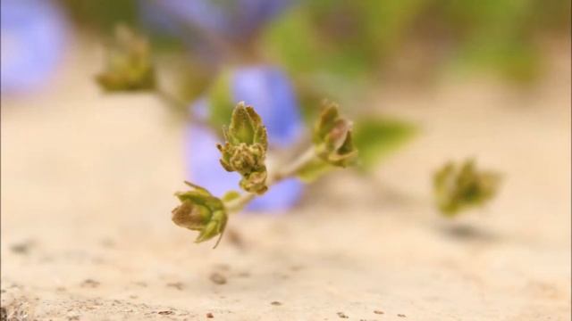 Canon 1300D Picture Quality With 18-55mm Lens