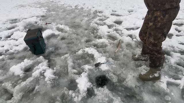 ЗИМНЯЯ РЫБАЛКА НА ХАРИУСА ПО ПЕРВОМУ ЛЬДУ смотреть онлайн