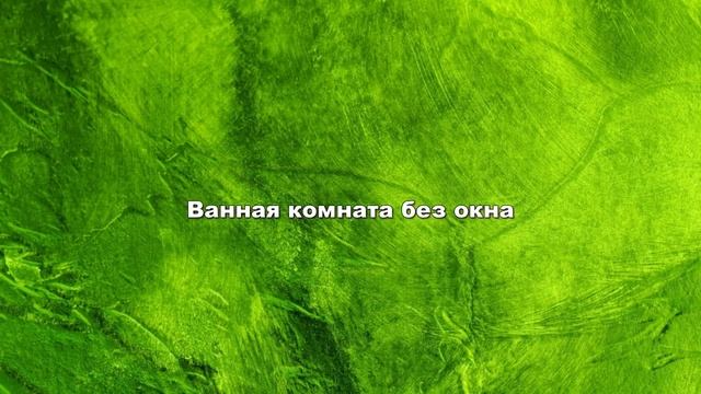 Какие домашние цветы подойдут для ВАННОЙ КОМНАТЫ смотреть онлайн