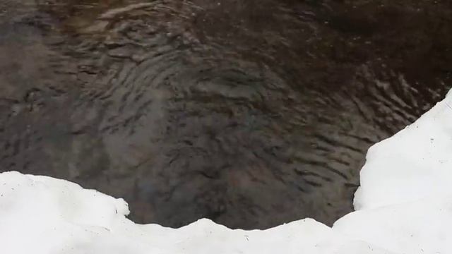 🌹❤️🔥 Когда тяжело на Сердце, а Душа устала... Загляни в мир природы. смотреть онлайн