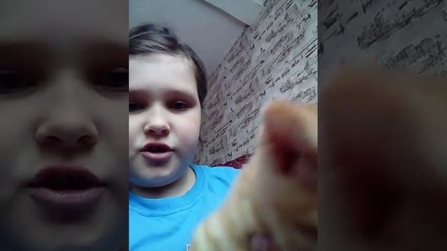 Родились котята 2 месяца назад смотреть онлайн