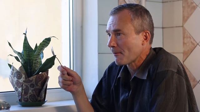 Какой должна быть женщина смотреть онлайн