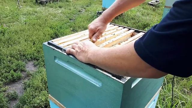 Работаем без шума и пыли!Пчелоудалители! Ответы на вопросы! смотреть онлайн