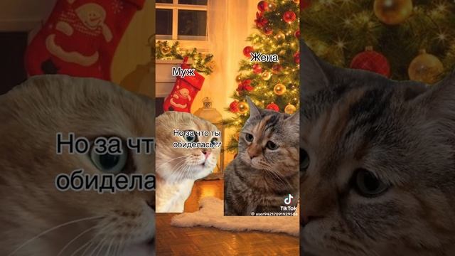 video-6abc42793c0896e6c9ccdd0b5c33e84f-V.mp4 смотреть онлайн