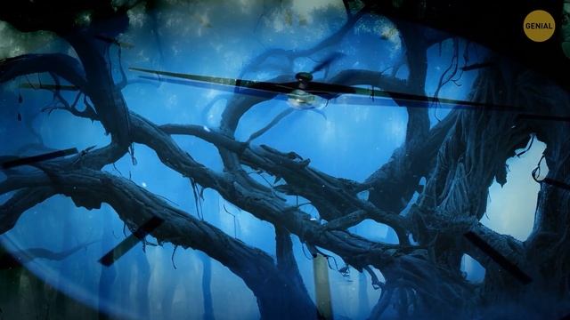 35+ Misteriosos fenómenos naturales que desconciertan incluso a los científicos смотреть онлайн