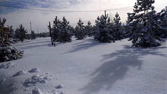 Зимняя сказка в Лесных акварелях. смотреть онлайн