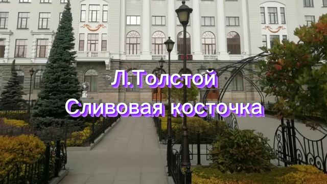 Аудиокнига "Сливовая косточка" Л.Толстой. смотреть онлайн