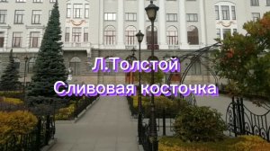 Аудиокнига «Сливовая косточка» Л.Толстой.
