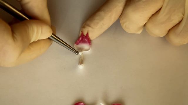 Орхидея фаленопсис. Лепка. Полимерная глина. Polymer clay.Orchid. смотреть онлайн