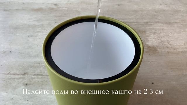 Кашпо с автополивом из экокожи Giro M | Как посадить растение? смотреть онлайн