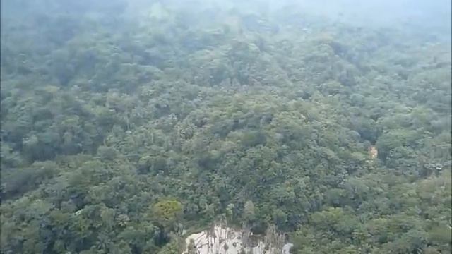 полет в конго.wmv смотреть онлайн