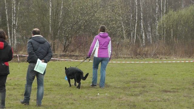 Большой Русский Ринг. 23.04.2016 г. Класс "Б". смотреть онлайн