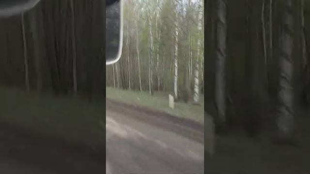 Дорога Томск - Самусь смотреть онлайн