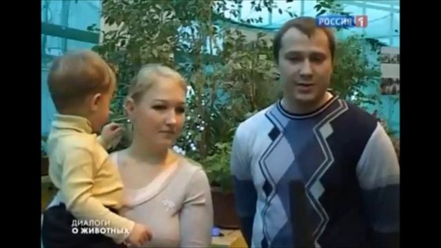 Бенгальские кошки (DoZoo.ru) смотреть онлайн