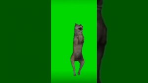 гоу танцен ихвильнихт / 1 час