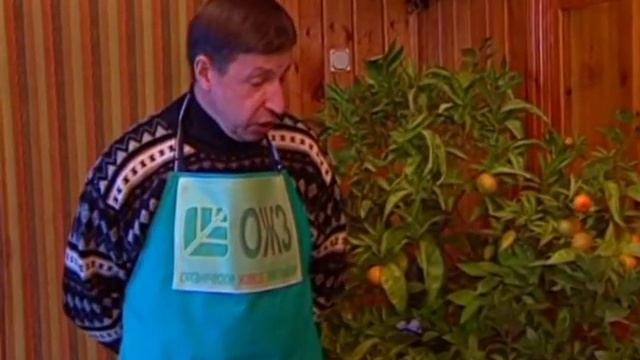 Райский сад. Как сохранить теплолюбивые растения зимой смотреть онлайн