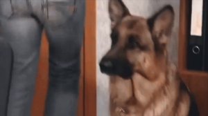 ♥Максим и Василиса(Возвращение Мухтара)-Удержи моё сердце♥