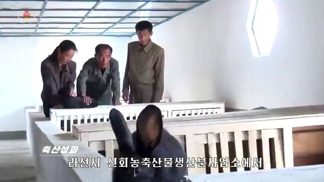 Новости КНДР 2019.10.21. смотреть онлайн