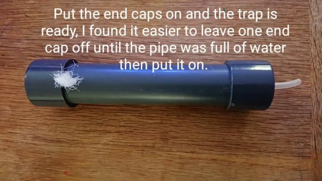 Simple DIY bristleworm trap. смотреть онлайн