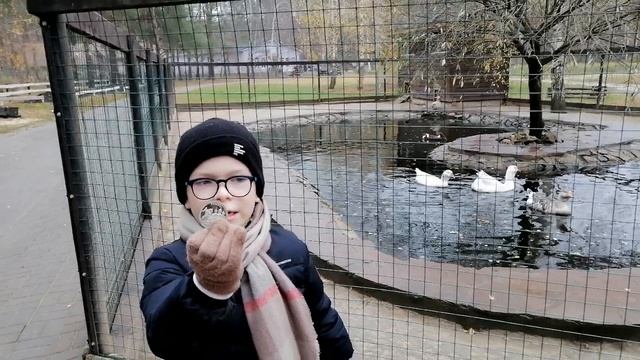 В Зоопарке смотреть онлайн