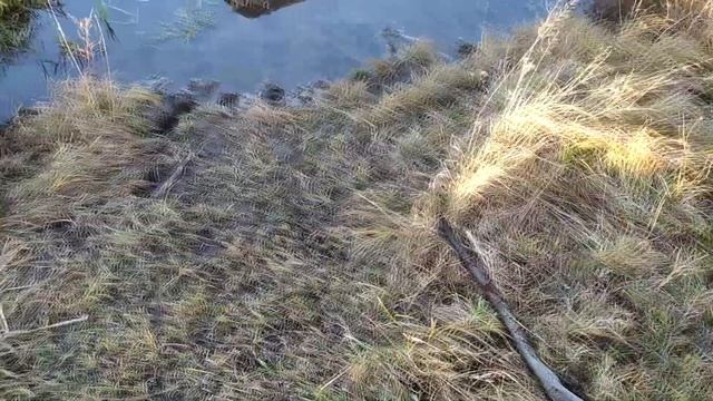 закрыл сезон нашел озеро смотреть онлайн