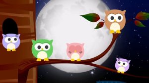 Совушки совы большие головы