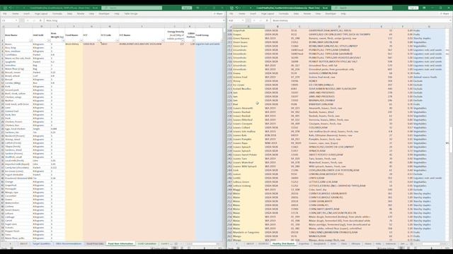 Tutorial: Using the Excel Template to calculate the Cost of a Healthy Diet (CoHD) смотреть онлайн