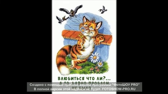 Самые прикольные открытки для вас!Отличного всем настроения! смотреть онлайн
