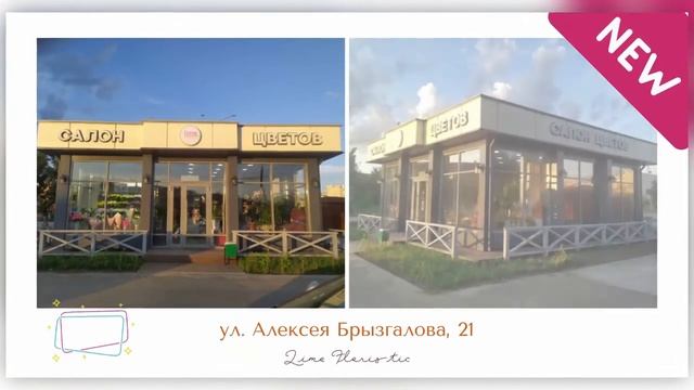 НОВЫЙ САЛОН смотреть онлайн