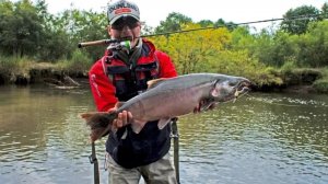 Ловля крупного лосося на спиннинг. Андрей Питерцов